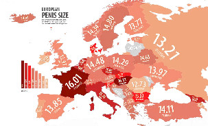 таблица размеров пениса